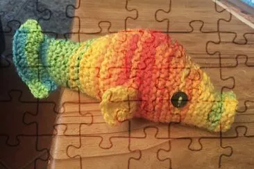 Rainbow fishie