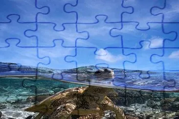 natural jigsaw puzzle