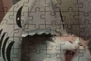 XD jigsaw puzzle