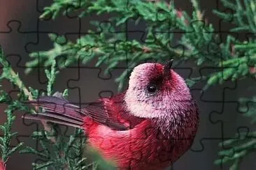 natural jigsaw puzzle