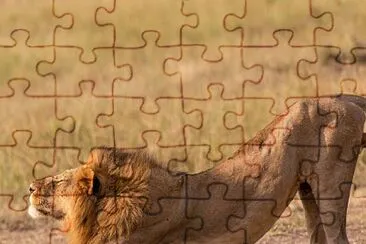 natural jigsaw puzzle