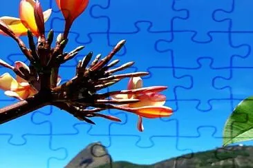 flores jigsaw puzzle