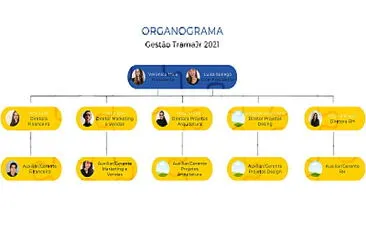 organograma teste