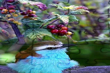 פאזל של Bird with Berries