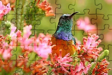 Toy jigsaw puzzle