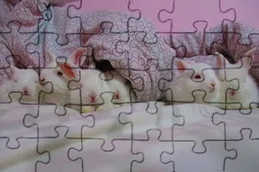 ארנבות jigsaw puzzle