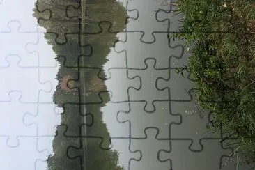 Lac jigsaw puzzle