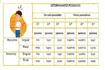 Determinantes posesivos