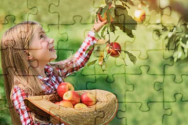 Petite fille et ses pommes