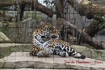 Zoo de Vincennes - Paris