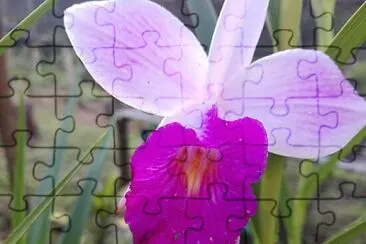 FLOWERS jigsaw puzzle