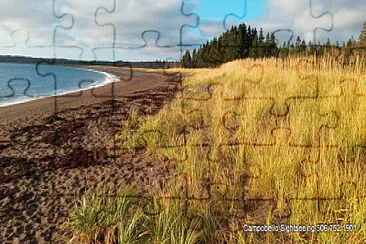 פאזל של Beach Landscape