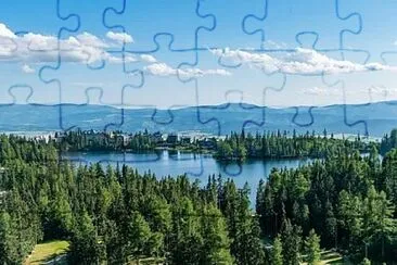 Toy jigsaw puzzle