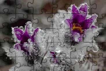 OK jigsaw puzzle