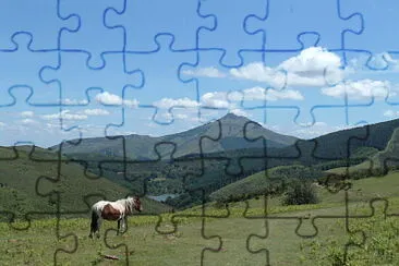  jigsaw puzzle