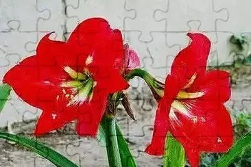 OK jigsaw puzzle