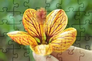 OK jigsaw puzzle