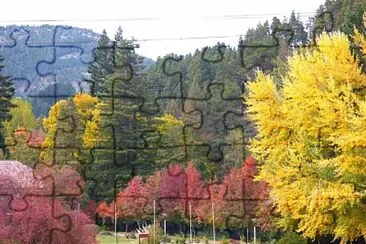 paisaje jigsaw puzzle