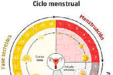 CICLO