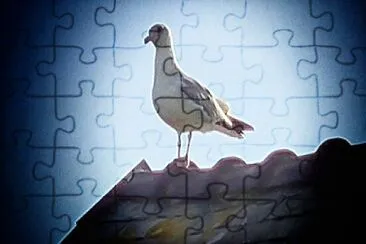 oiseau jigsaw puzzle