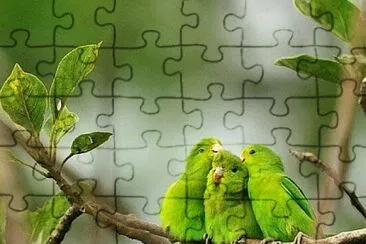 imagem jigsaw puzzle