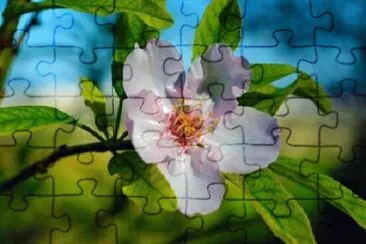 OK jigsaw puzzle