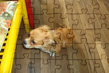 bobillo jigsaw puzzle