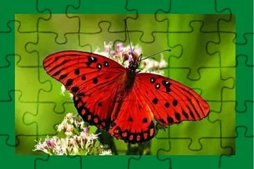 BORBOLETA jigsaw puzzle