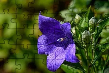 OK jigsaw puzzle