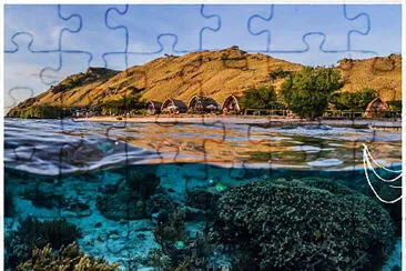 386- KOMODO jigsaw puzzle