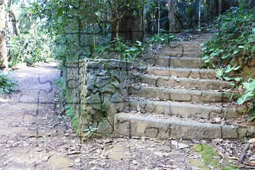 Burle Marx Park - São Paulo jigsaw puzzle