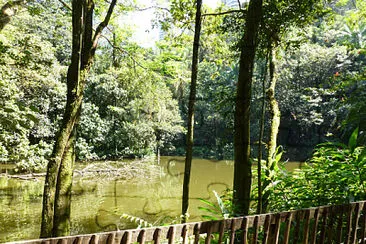 Burle Marx Park - São Paulo