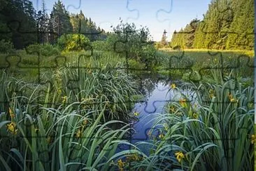 Nature jigsaw puzzle