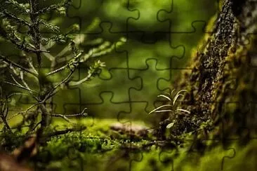 Nature jigsaw puzzle