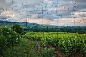 Nature jigsaw puzzle