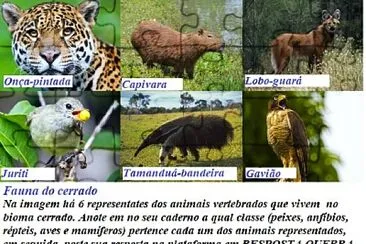 Animais vertebrados do Cerrado