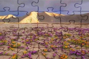 Flores del desierto jigsaw puzzle