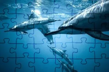 X jigsaw puzzle