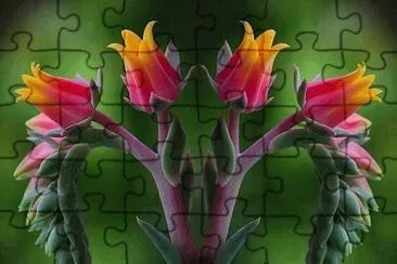 X jigsaw puzzle