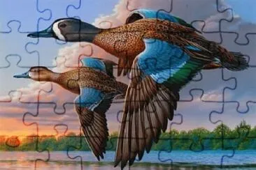 X jigsaw puzzle