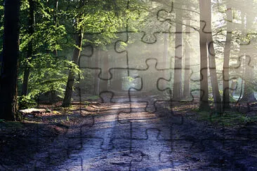 X jigsaw puzzle