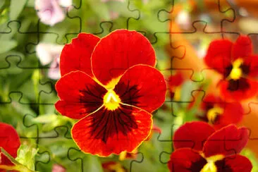 X jigsaw puzzle