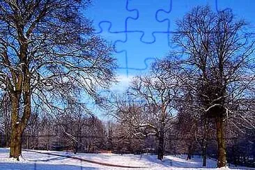 Snow Scene jigsaw puzzle