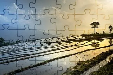 Foto jigsaw puzzle