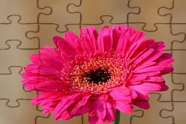 Flor natural jigsaw puzzle