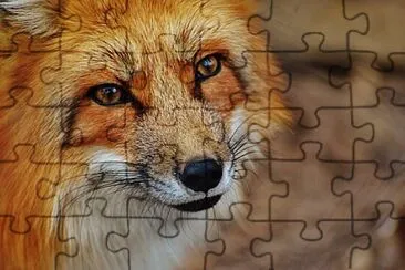 X jigsaw puzzle