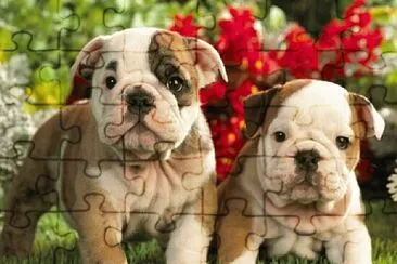 PERRO jigsaw puzzle