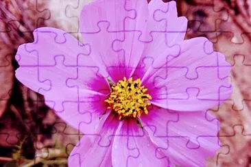 FLORES jigsaw puzzle