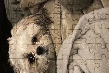 Mia jigsaw puzzle