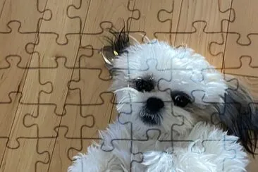 Mia jigsaw puzzle